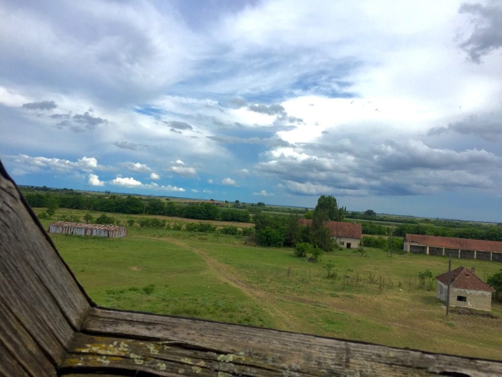 SDS SUBOTICA: HITNO OSNOVATI FOND SOLIDARNOSTI ZA NAJUGROŽENIJE PAORE