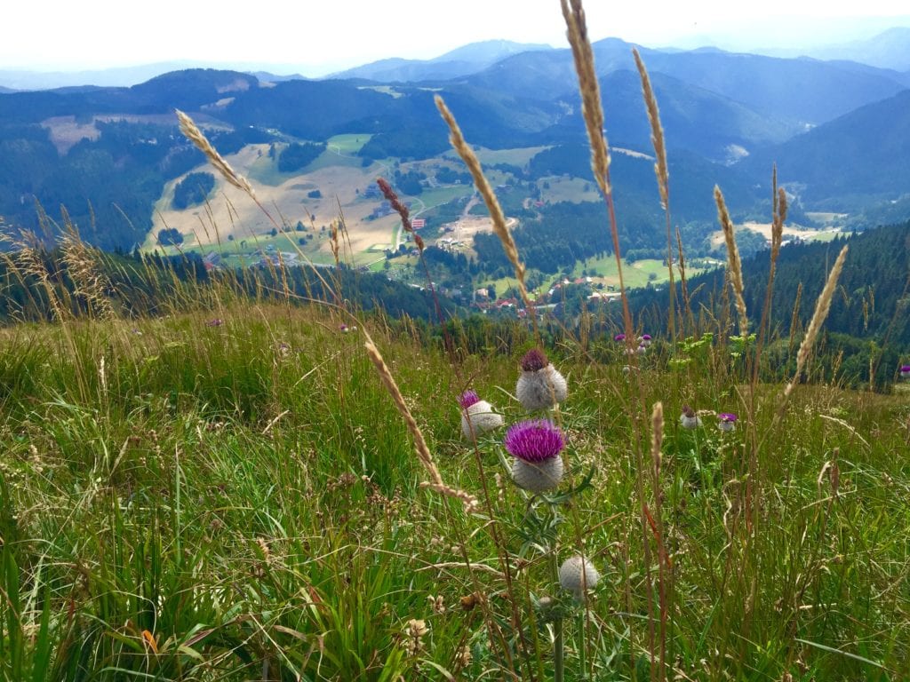 Highlander u Inspira Hub-u u četvrtak, 19. marta: O planinarenju kao stilu života koji je dostupan svima