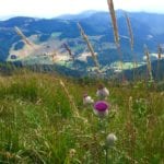 Highlander u Inspira Hub-u u četvrtak, 19. marta: O planinarenju kao stilu života koji je dostupan svima