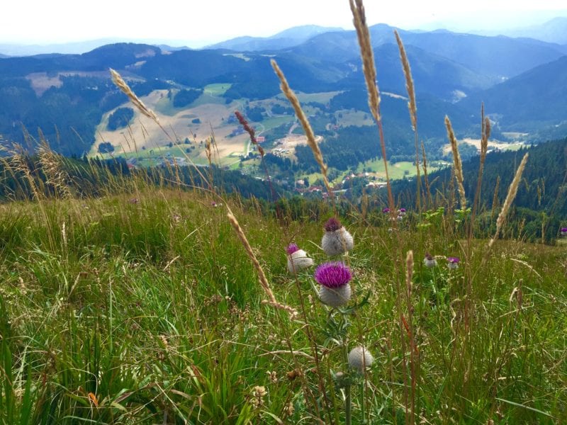Highlander u Inspira Hub-u u četvrtak, 19. marta: O planinarenju kao stilu života koji je dostupan svima