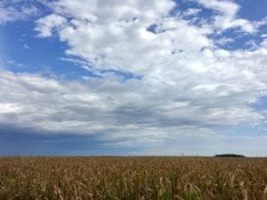 zemljiste poljoprivreda