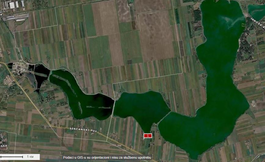 “DOBRIČINA SA PEŠTERA” ULAŽE NA PALIĆU?