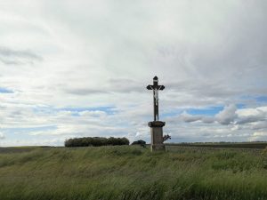 zemlja, zemljiste. poljoprivreda