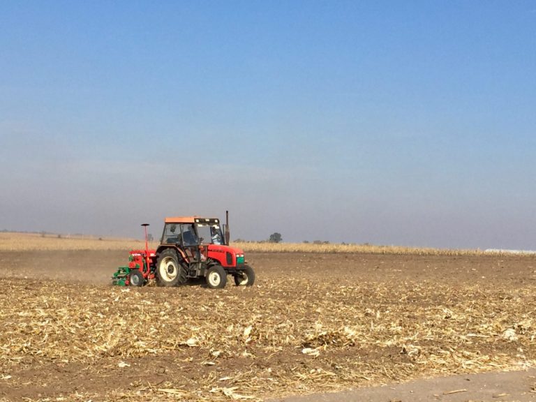 DZVM: Pasivnost vlade vodi ka nestanku porodičnih gazdinstava