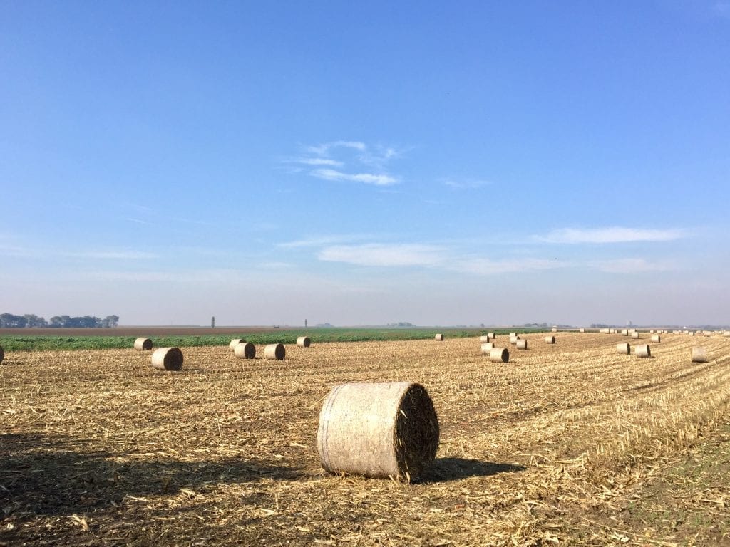 Otvoren poziv za popisivače za ovogodišnji Popis poljoprivrede Srbije