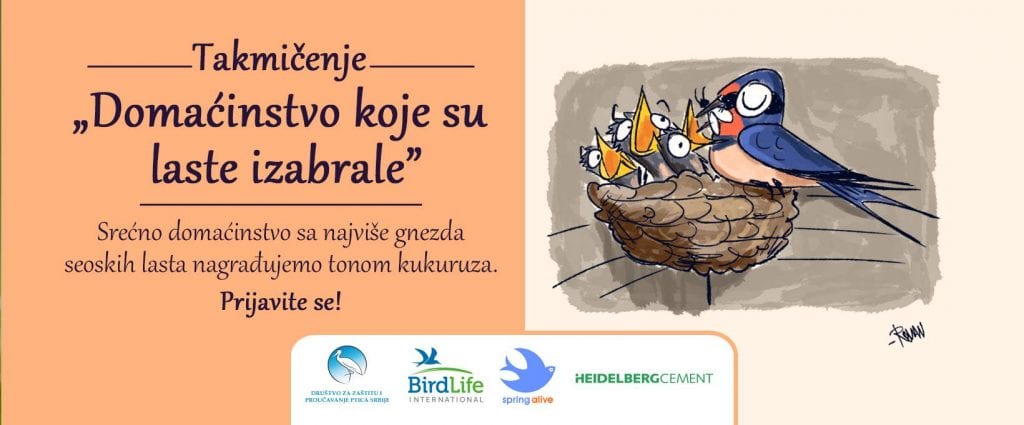 Takmičenje “Domaćinstvo koje su laste izabrale”: Tona kukuruza za domaćinstvo s najviše gneza seoskih lasta