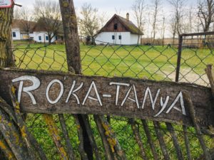 rokin salas roka tanya nosa