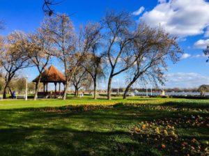 palic
