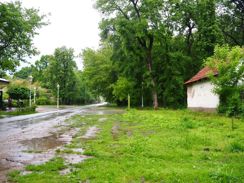 Izgradnja parkinga u Parku prirode Palić: „Neće biti seče drveća“