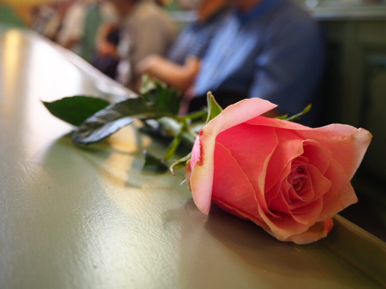 U Americi preminuo Steven Fenves, sin Klare Gereb i jedan od preživelih logoraša Aušvica