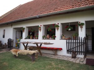 orluskov salas tavankut