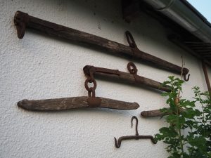 orluskov salas tavankut