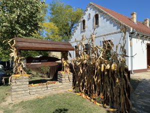 Etnosalas Balazevic Tavankut