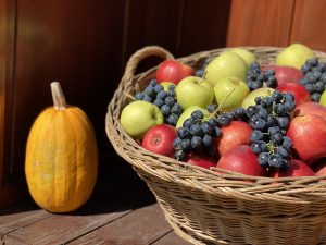 festival voca tavankut1