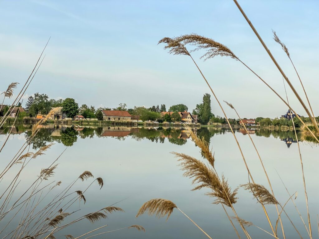 Povećano zaštićeno područje Parka prirode Palić