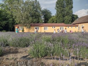 Umetnicka kolonija Backa Topola