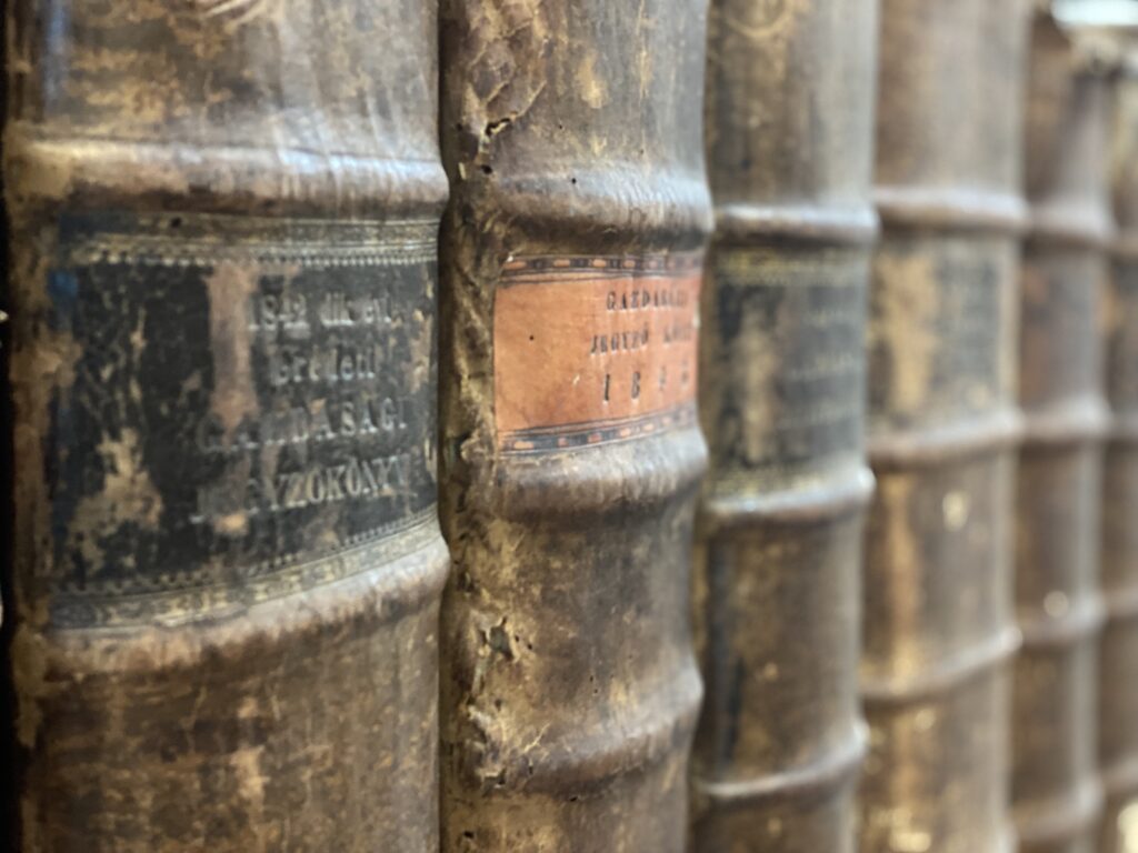 Otvaranje nove knjižare i antikvarnice u Subotici u sredu, 12. novembra: Dobro došli u “Našu priču”