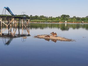 Bačkotopolsko jezero
