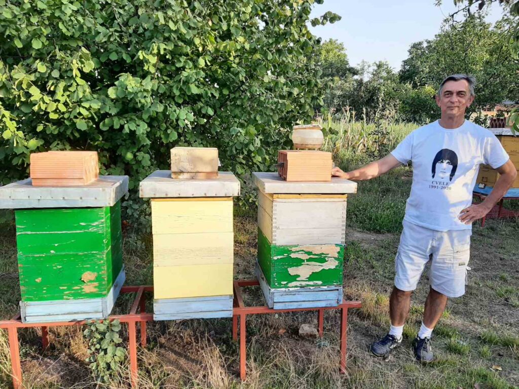 Loša proizvodna godina nije zaobišla ni pčelare: Prinosi manji za dve trećine, cena meda u porastu