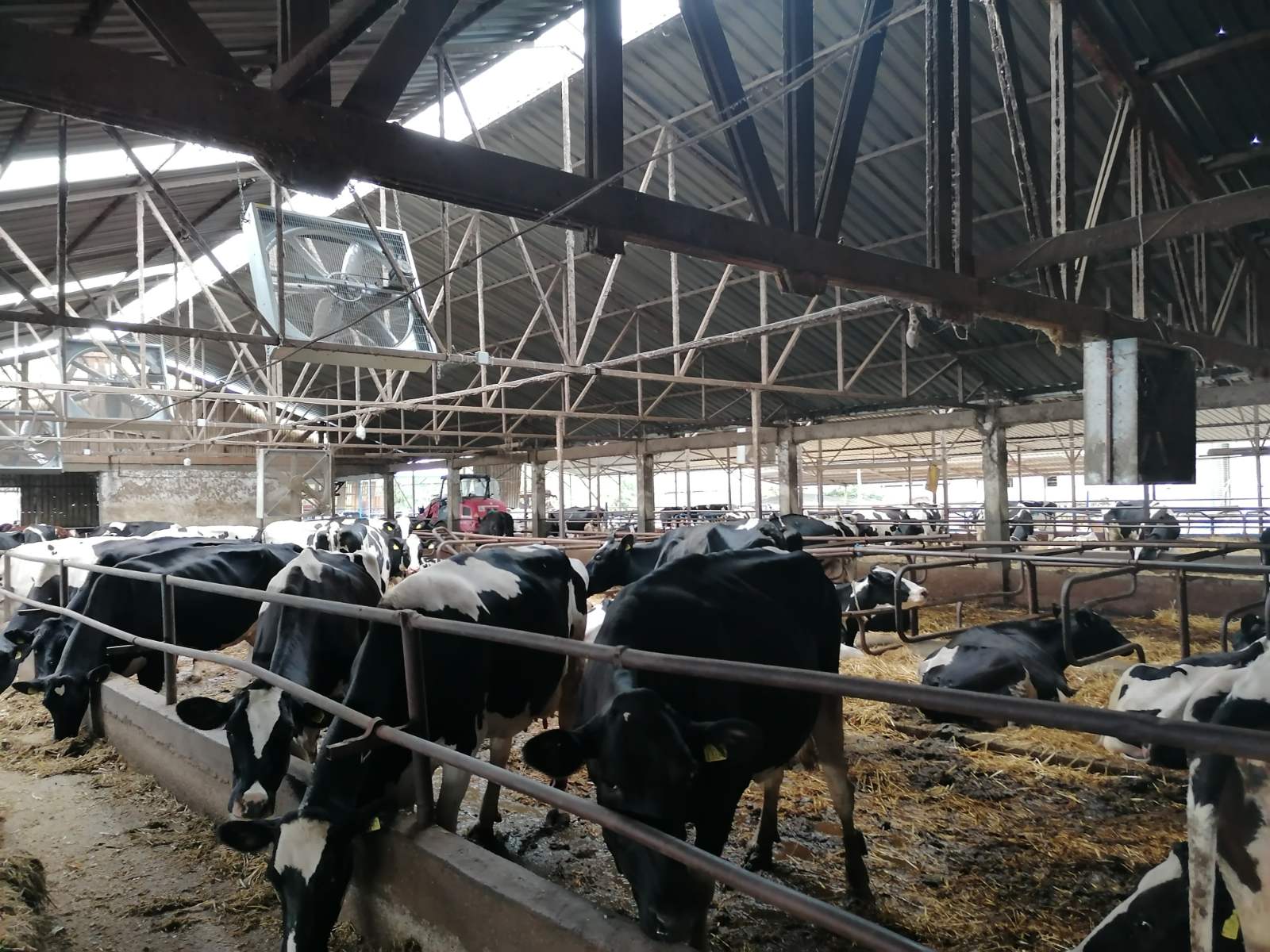 DZVM: Stanje u poljoprivredi neodrživo, hitno regulisati tržište mleka i žitarica