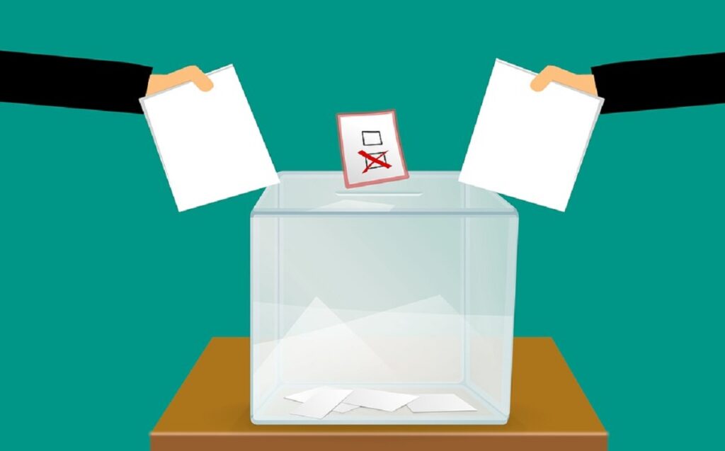RIK: Na izborima za nacionalne savete nacionalnih manjina 456.199 birača