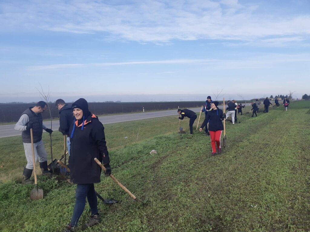 Održana akcija UG „Zelena oaza – Subotica“: „Plan je da spojimo drvoredom Suboticu i Stari Žednik“