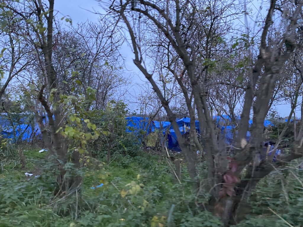 Uklonjeni ilegalni kampovi u Subotici: Više od 300 migranata prebačeno u Preševo