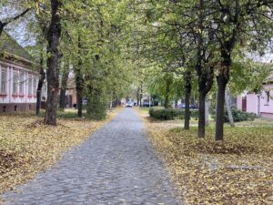 Bartola Kasica kaldrma