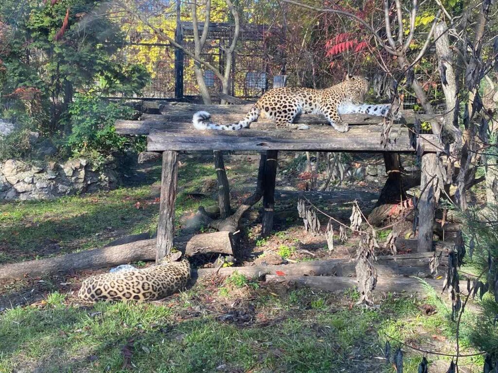 Subotički odbor Pokreta za preokret traži smenu direktorke zoo-vrta i vanredni inspekcijski nadzor
