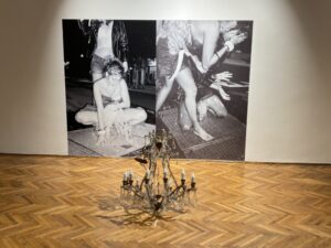 Savremena galerija Afera