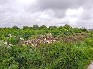 Deponija Palic Solidarnost