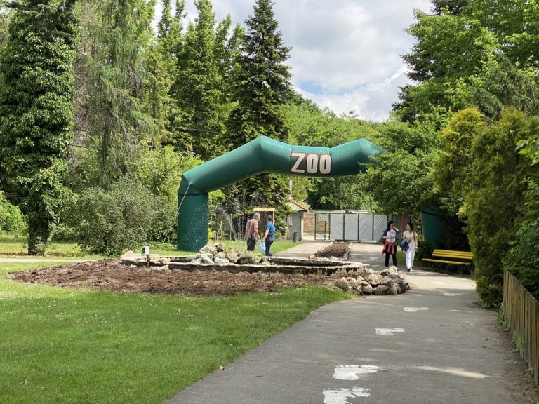 Uprava ZOO-vrta “Palić” odbacuje optužbe o lošem stanju: „Tendenciozno dezinformisanje javnosti“