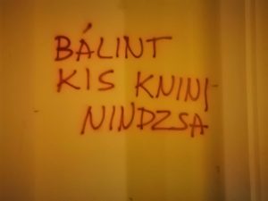 Balint Mali Knindza1