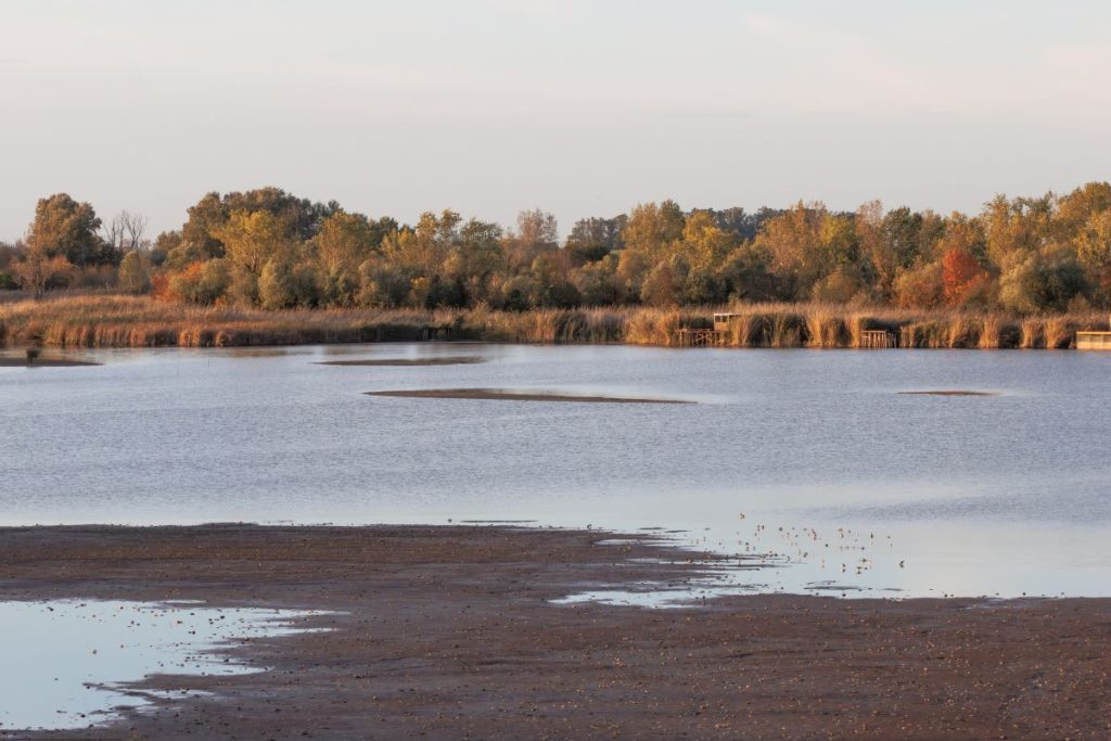 Sudbina Bačkotopolskog jezera zavisi od čoveka: Variranje vodostaja i aktuelna zabrana unošenja alohtonih vrsta riba – velike pretnje