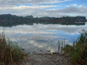 Bačkotopolsko jezero