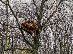 Kelebijska suma Srpski sor smece