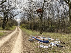 NOSECA Kelebijska suma Srpski sor smece