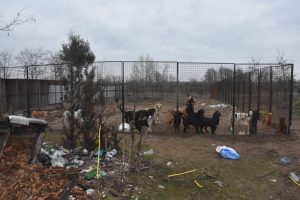 policija psi prihvatiliste