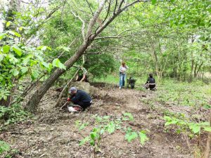 Zavrni rukave Marina Smozhenkova Zeleno mesto