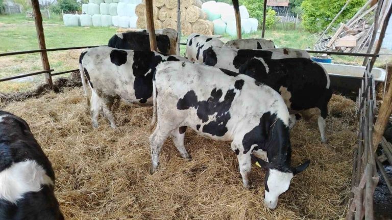 Dogovorili se predstavnici Ministarstva poljoprivrede, proizvođača mleka, mlekara, uvoznici