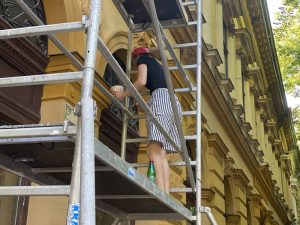 farbanje fasade Subotica is not dead1