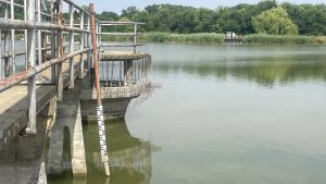 Bačkotopolsko jezero