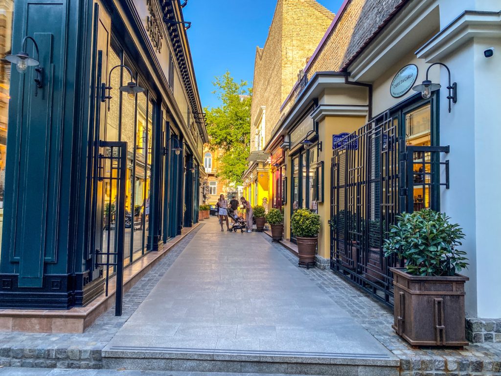 DZVM: SVM koristi novac mađarskih poreskih obveznika u političke svrhe