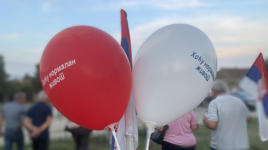 Maja Savić: Pristalica