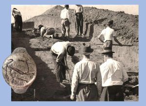 arheologija predavanje