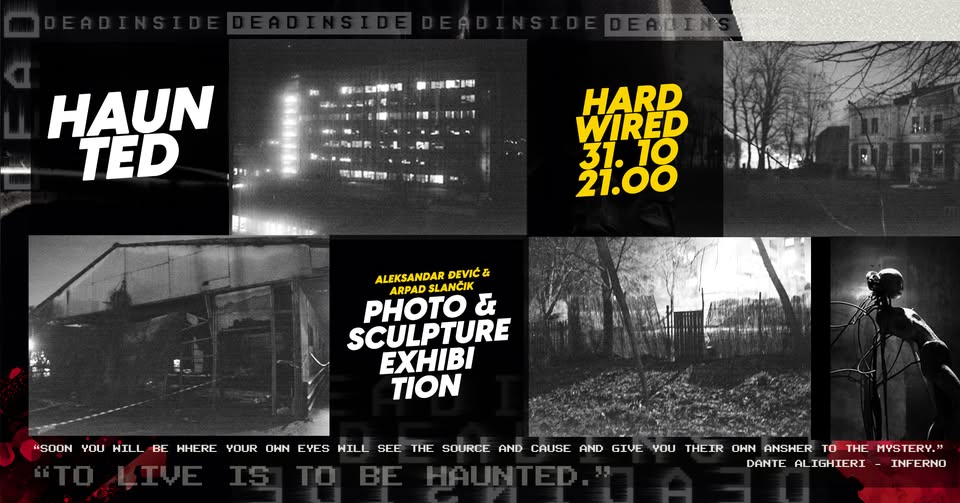 Haunted in Hardwired: Izložba fotografija i skulptura Aleksandra Đevića i Arpada Slančika