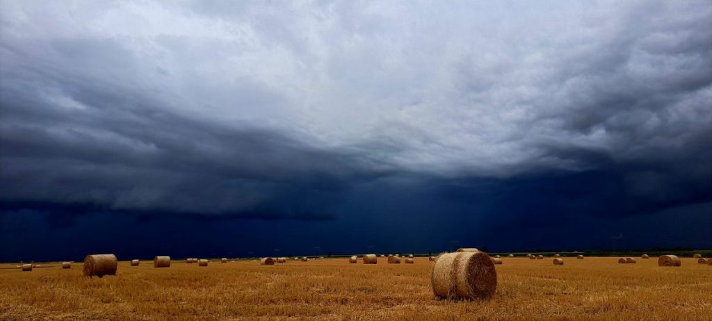 Uroš Mikulić: Pogled u nebo