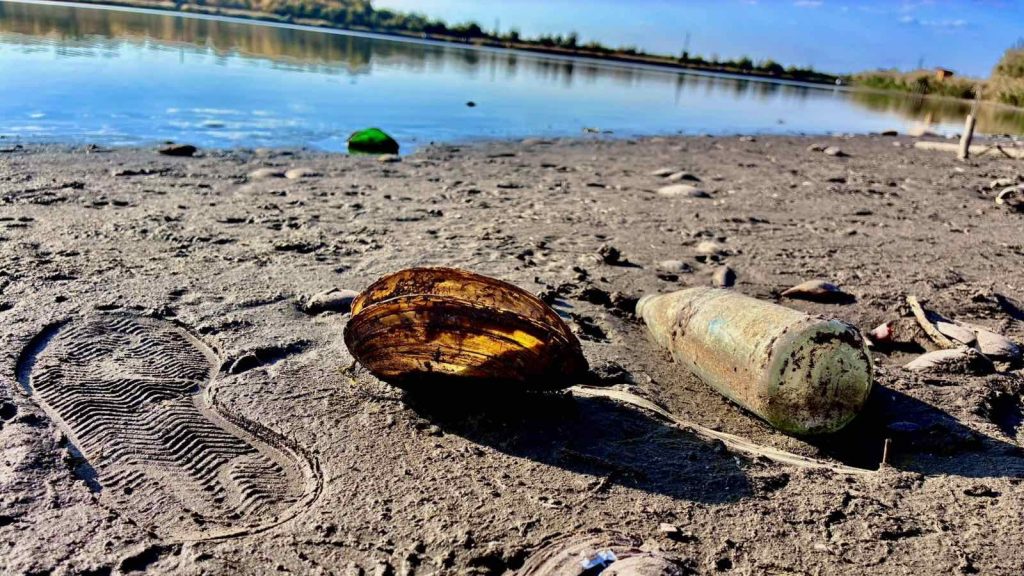 Bačkotopolsko jezero