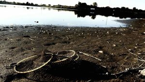Bačkotopolsko jezero