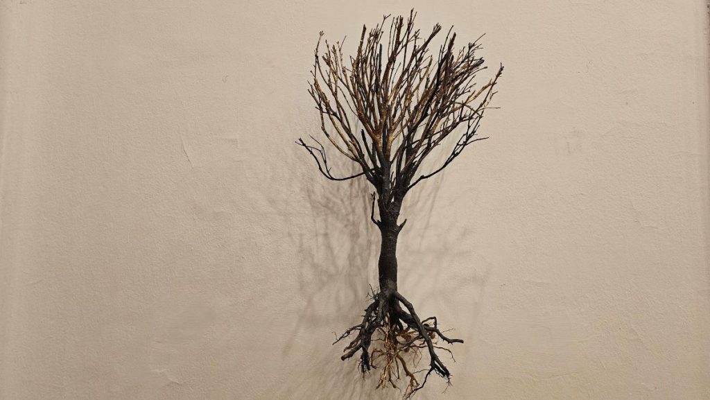 Savremena galerija Subotica: Kustosko vođenje kroz izložbu “Heterotopije” u subotu, 29. novembra